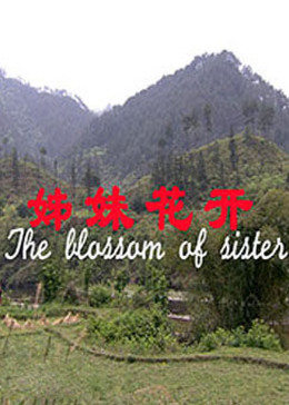 姊妹花開(kāi)
