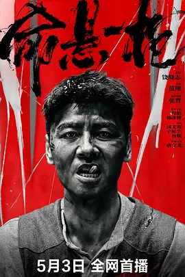 命懸一槍?zhuān)ㄕ汛ㄔ?huà)版）