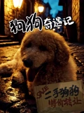 狗狗奇遇記