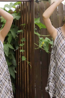 日韓黃片免下載在線觀看