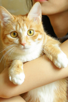 他的水蜜桃 全文閱讀