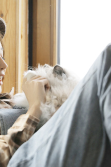 《搬家工的絕遇》2