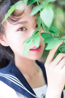 海棠車多肉香推薦