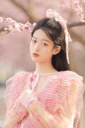 克什米爾任務(wù)