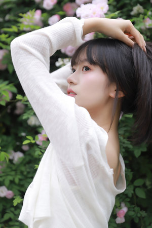 守護甜心小游戲大全